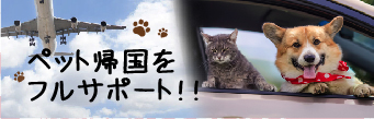 ペット帰国代行サービス>ペット(犬、猫)の日本への楽っと帰国代行サービスしております